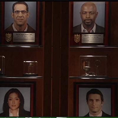 NCIS Special Agent Gayne Levin