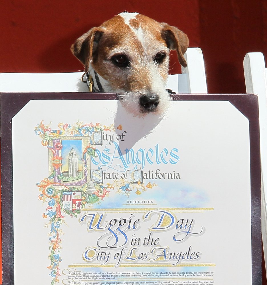 Uggie