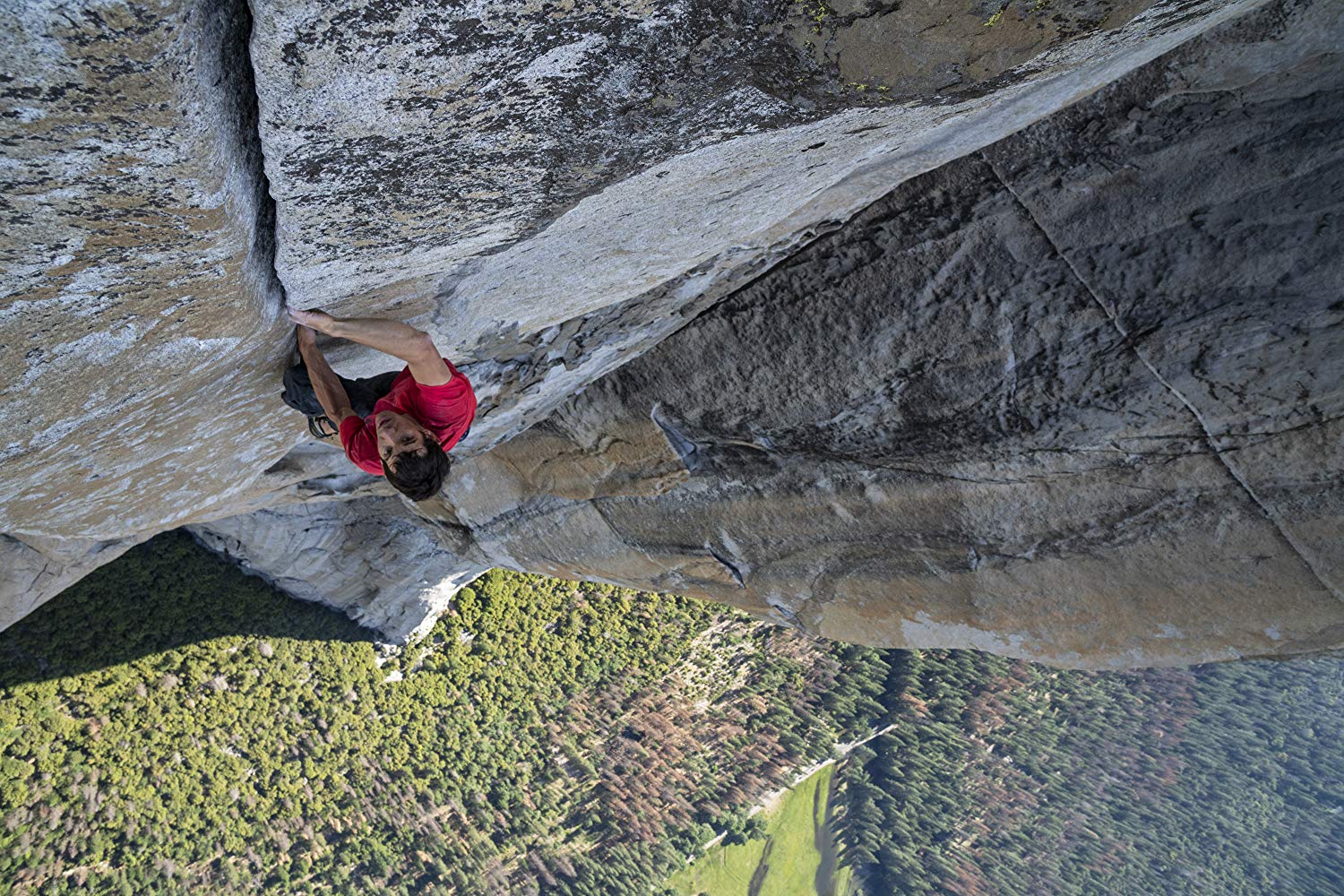 Alex Honnold