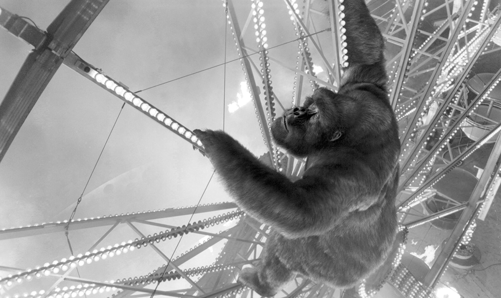 Mighty Joe Young