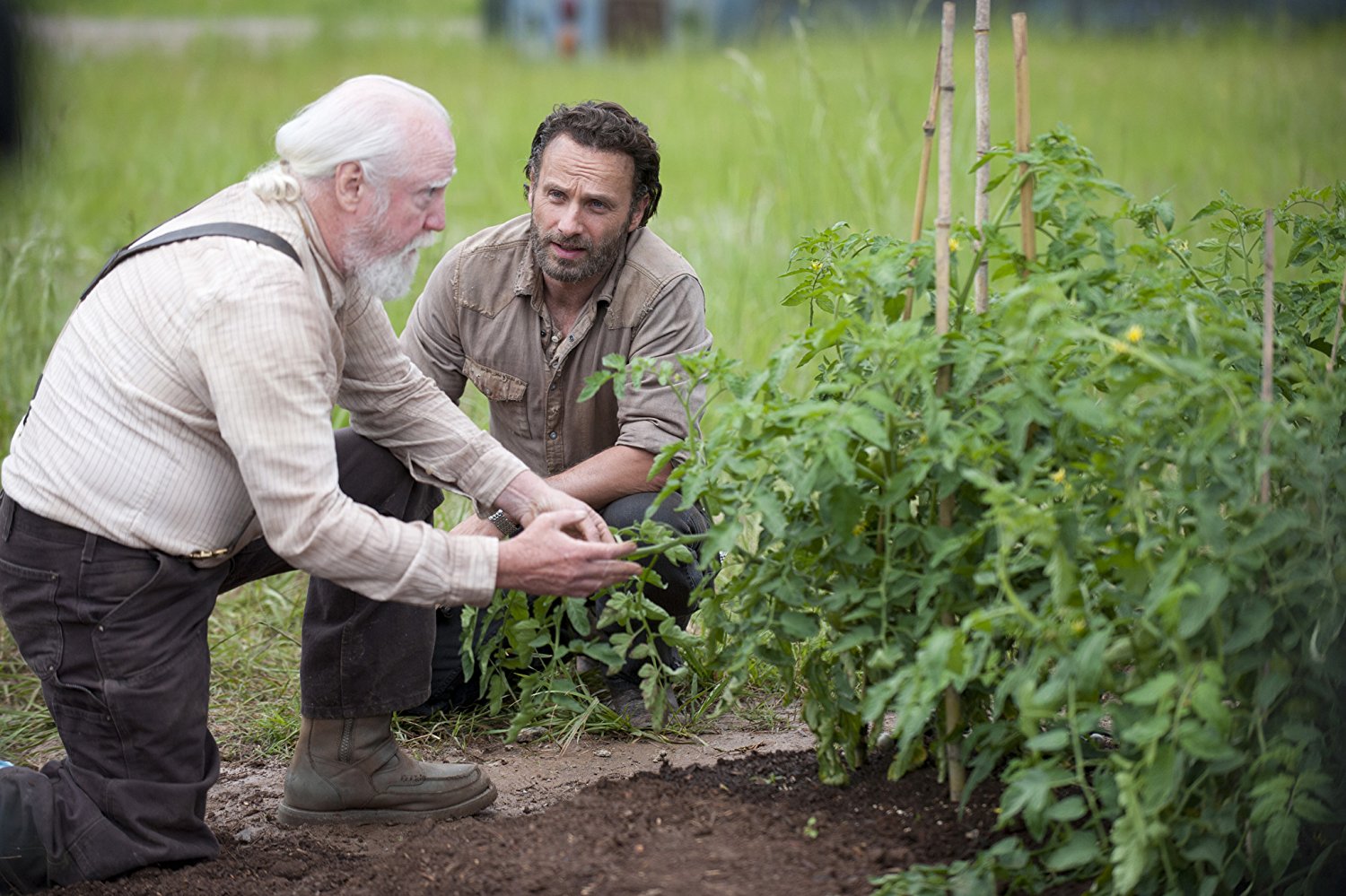 Hershel Greene