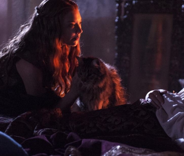 Margaery Tyrell