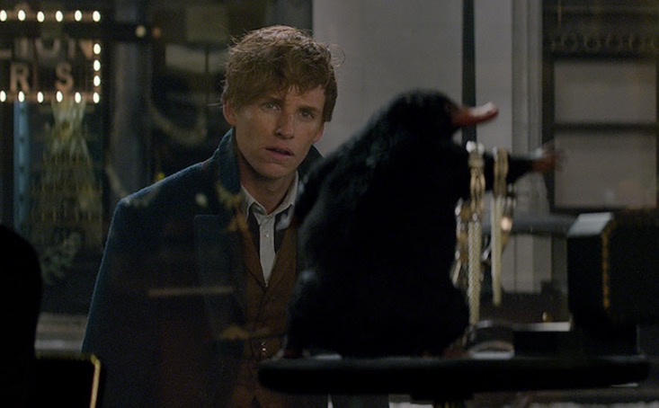 Newt Scamander