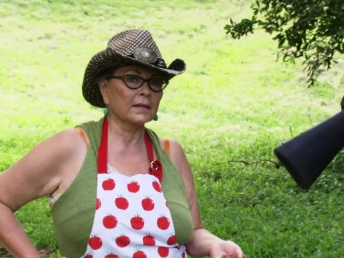 Roseanne Barr