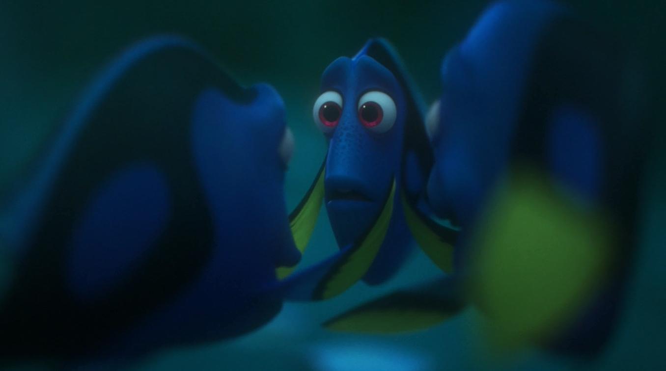 Dory