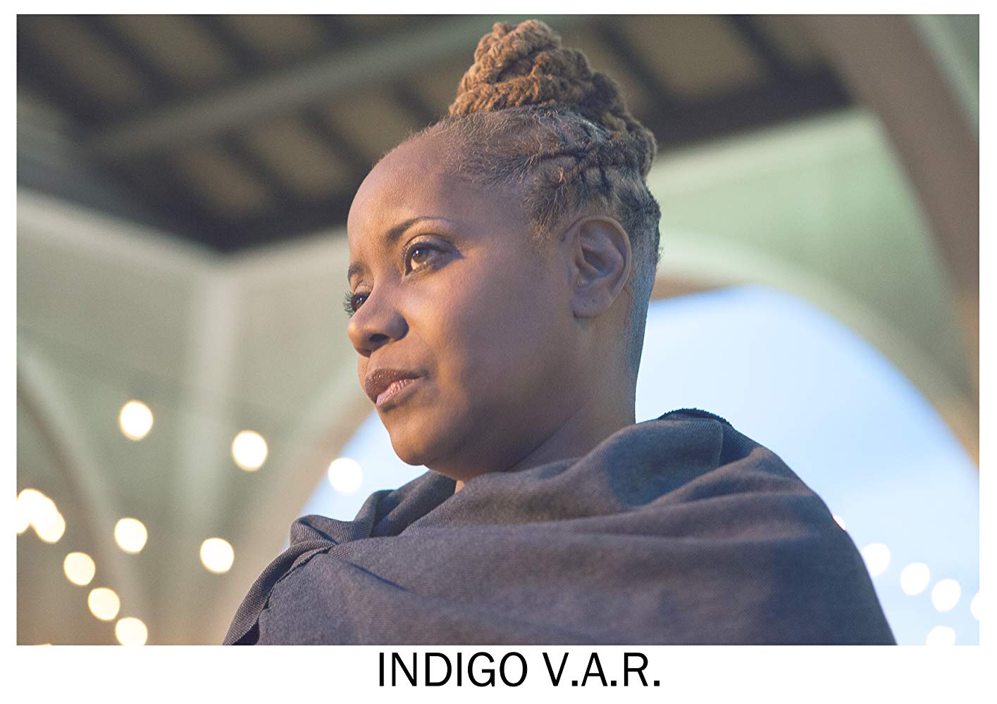 Indigo V.A.R.