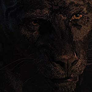 Bagheera