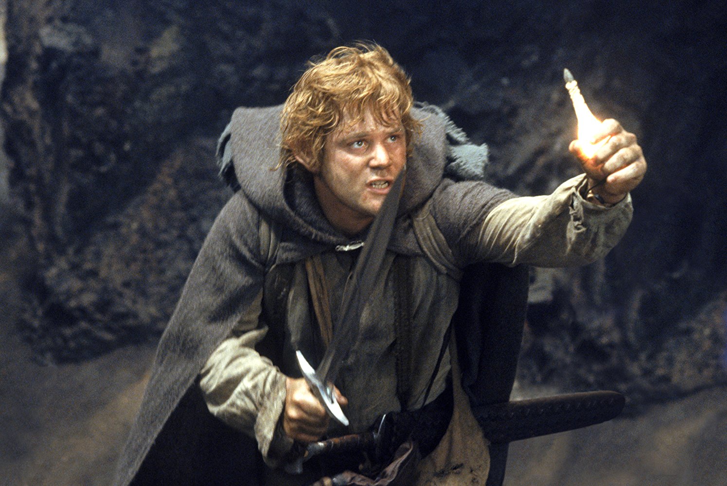 Samwise Gamgee