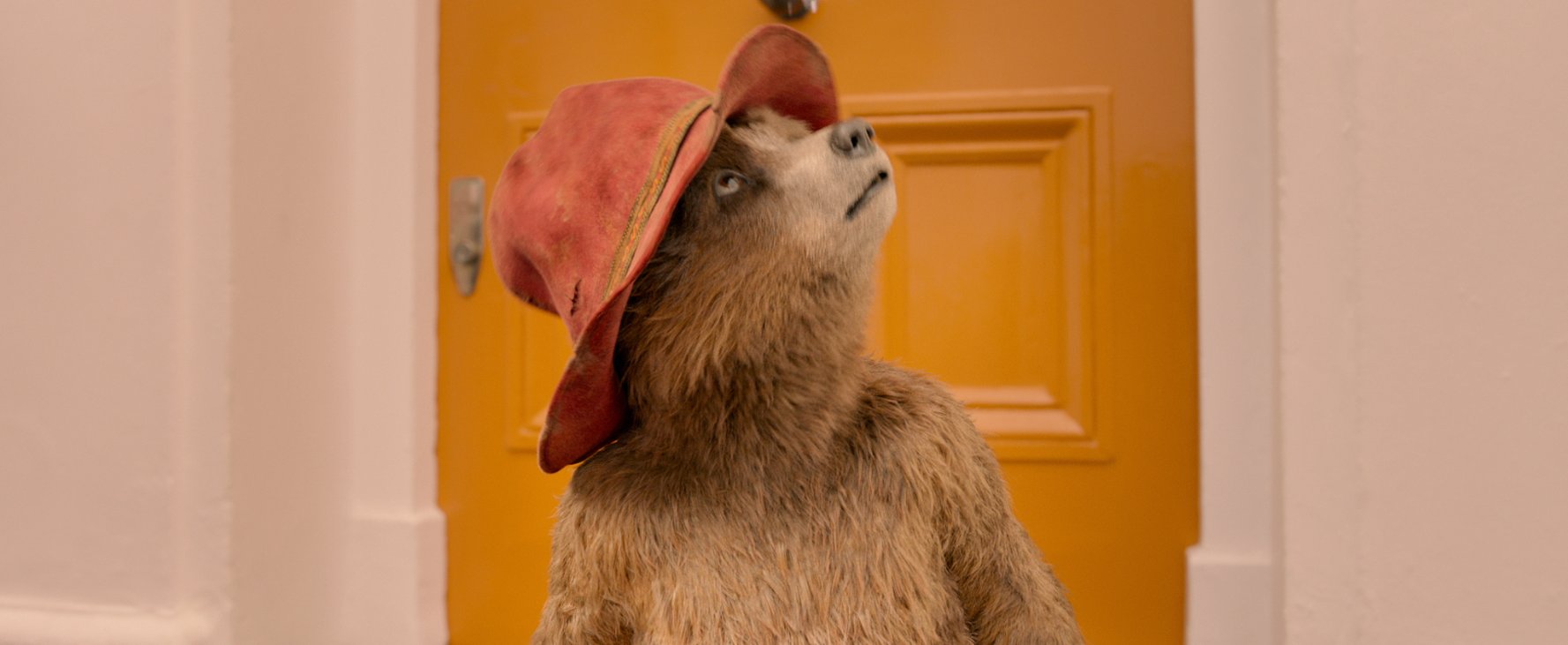 Paddington Bear