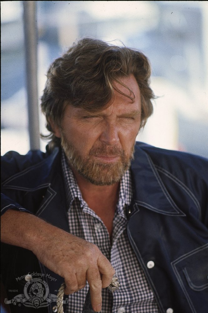 Robert Lansing