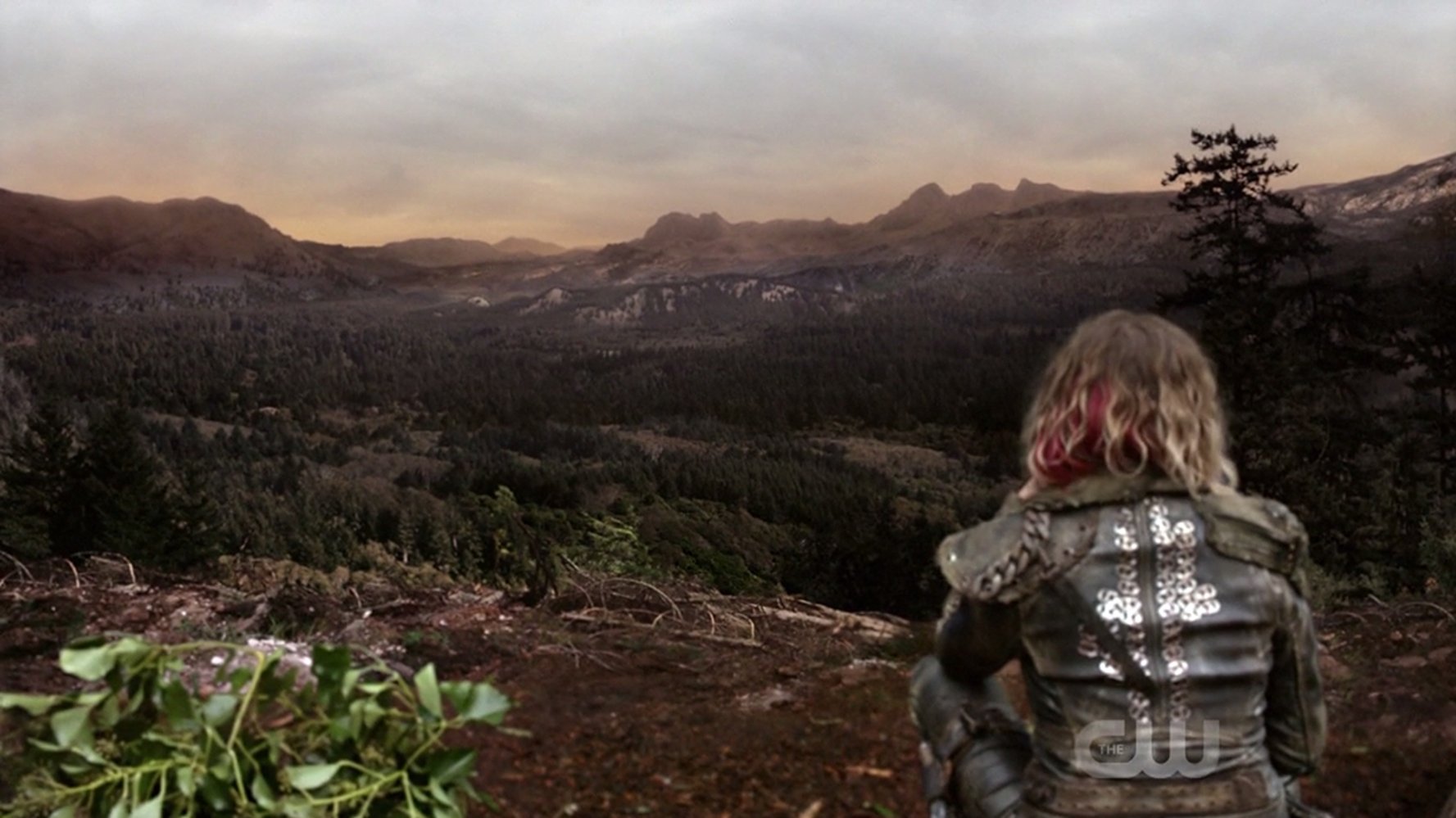 Clarke Griffin