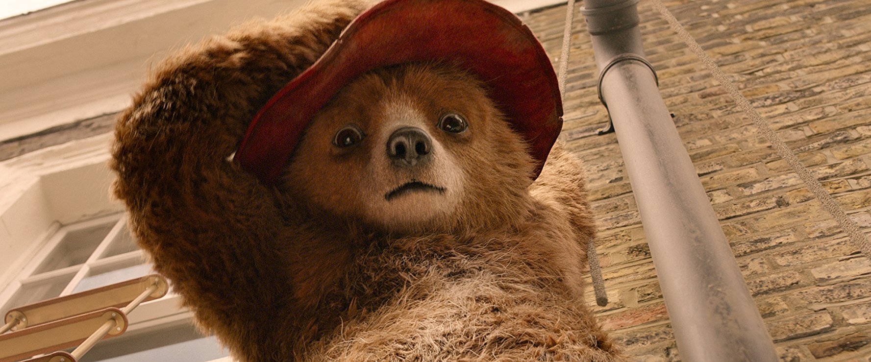 Paddington Bear