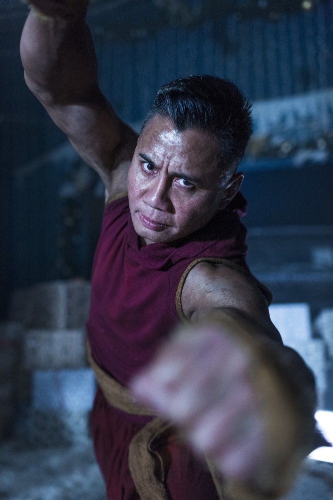 Cung Le
