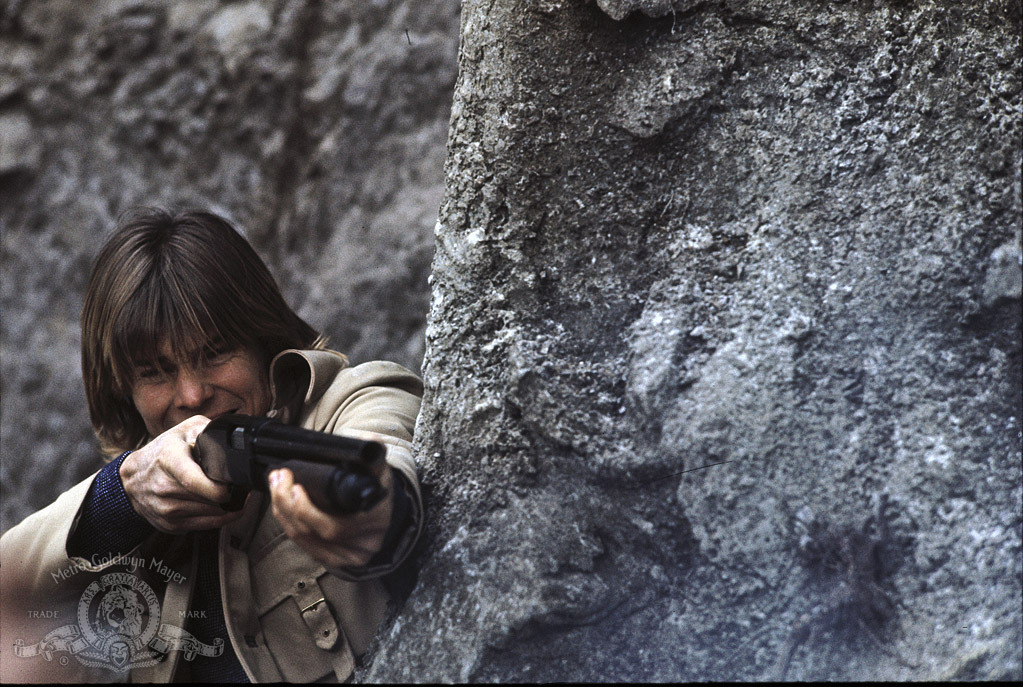 Jan-Michael Vincent