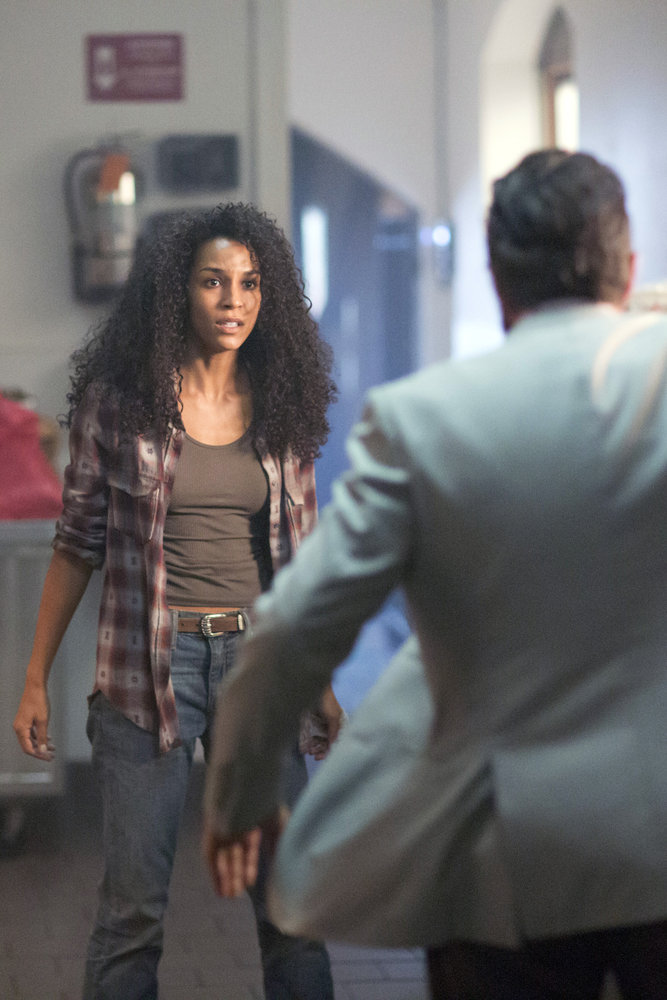 Brooklyn Sudano