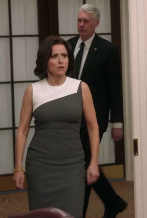 Secret Service Agent