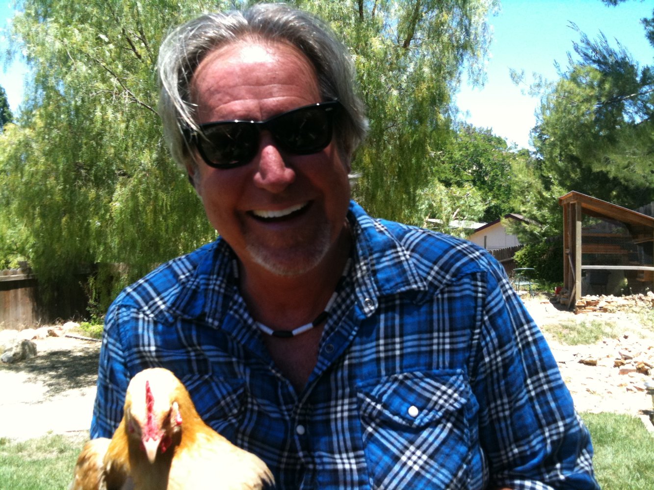 D. David Morin