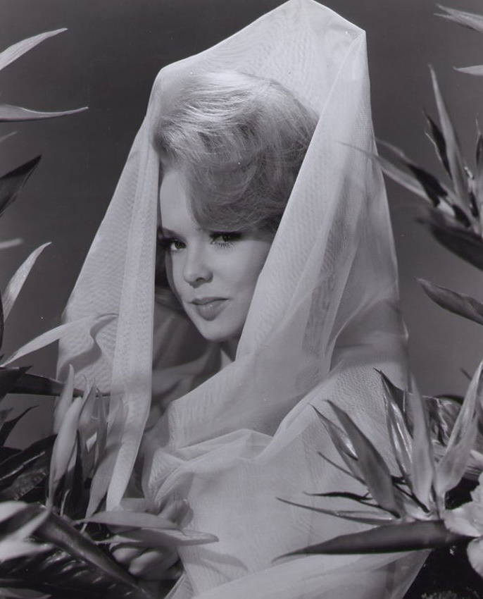 Joey Heatherton