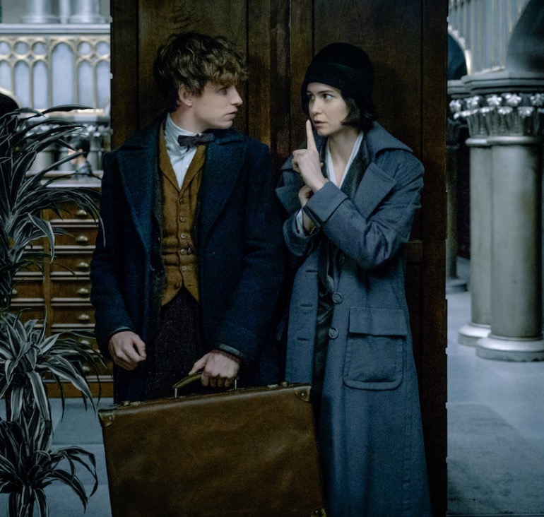 Newt Scamander