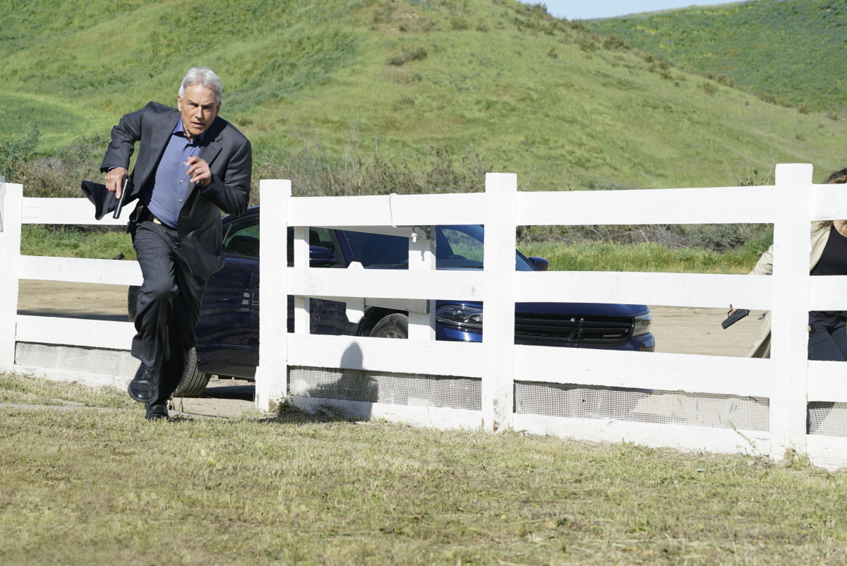 Mark Harmon