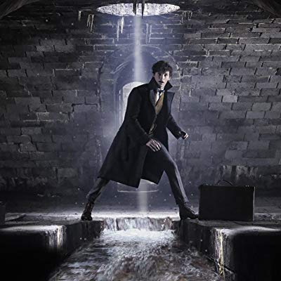 Newt Scamander