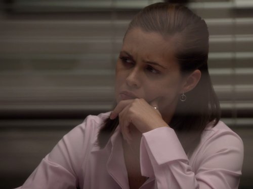 Agent Janis Hawk