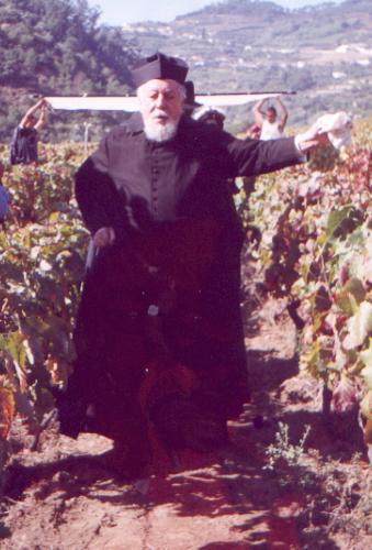 José Lewgoy