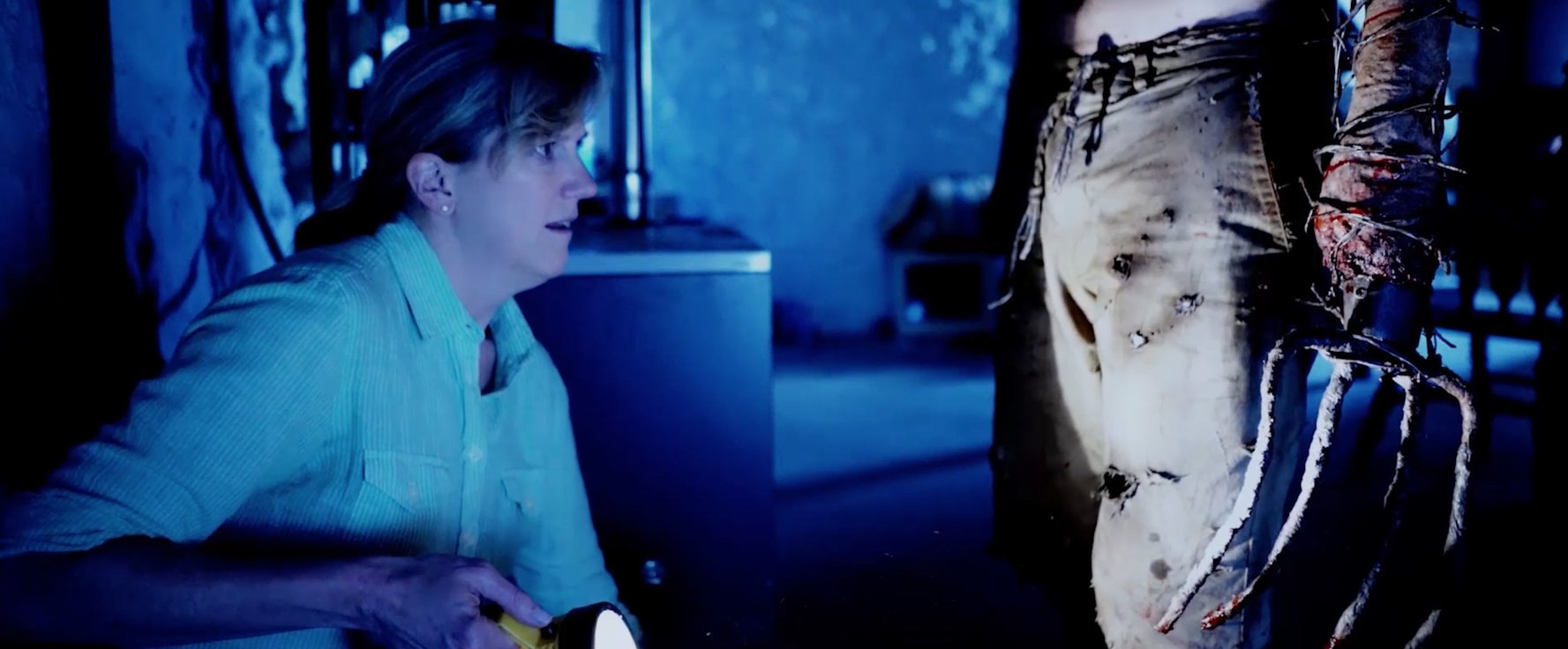 Carol Ludwick