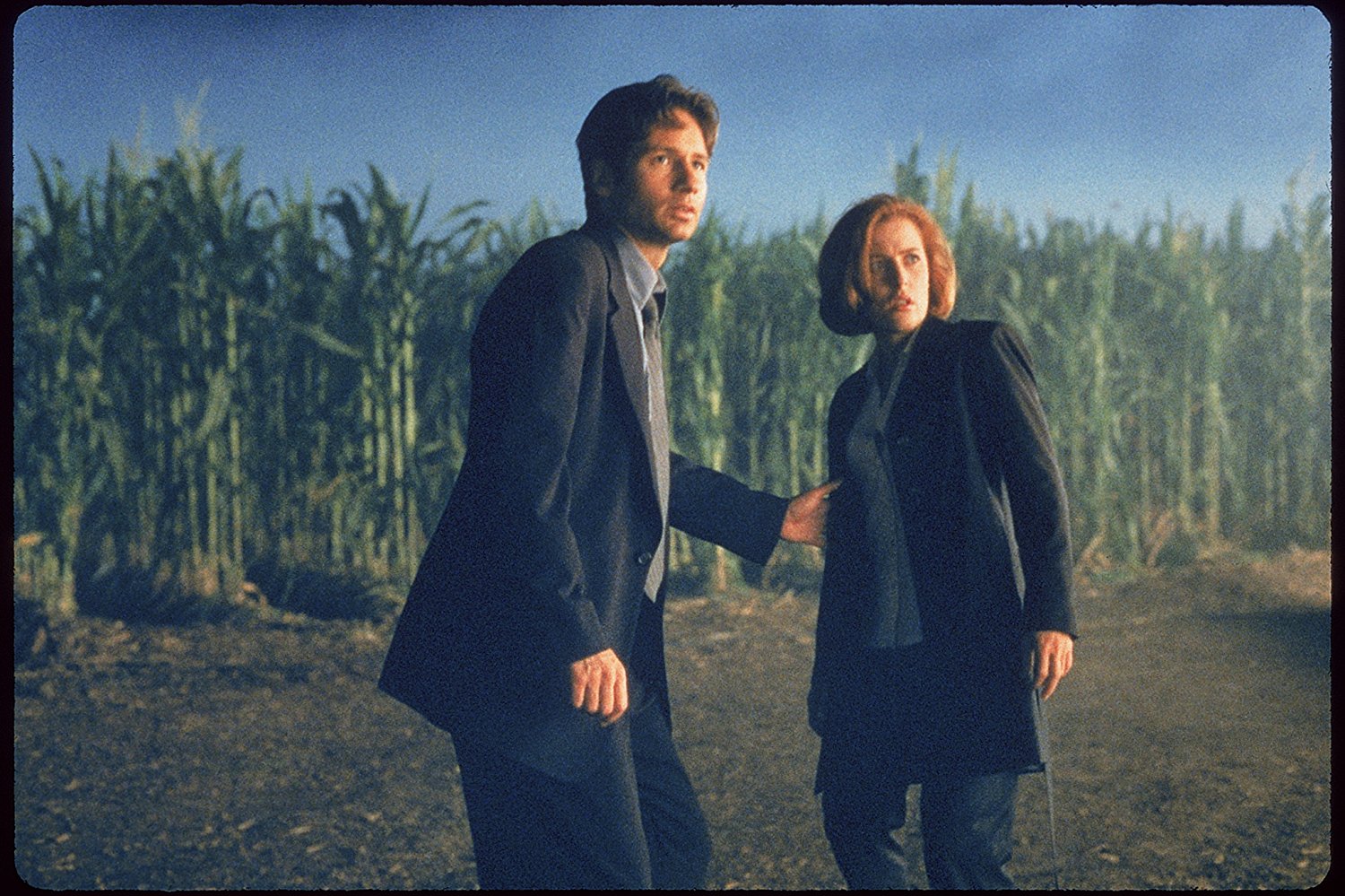 Dana Scully