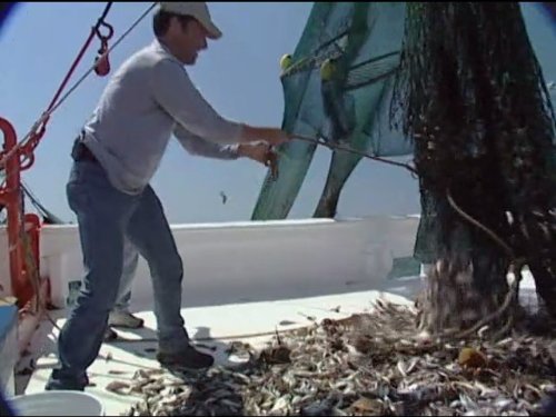 Mike Rowe