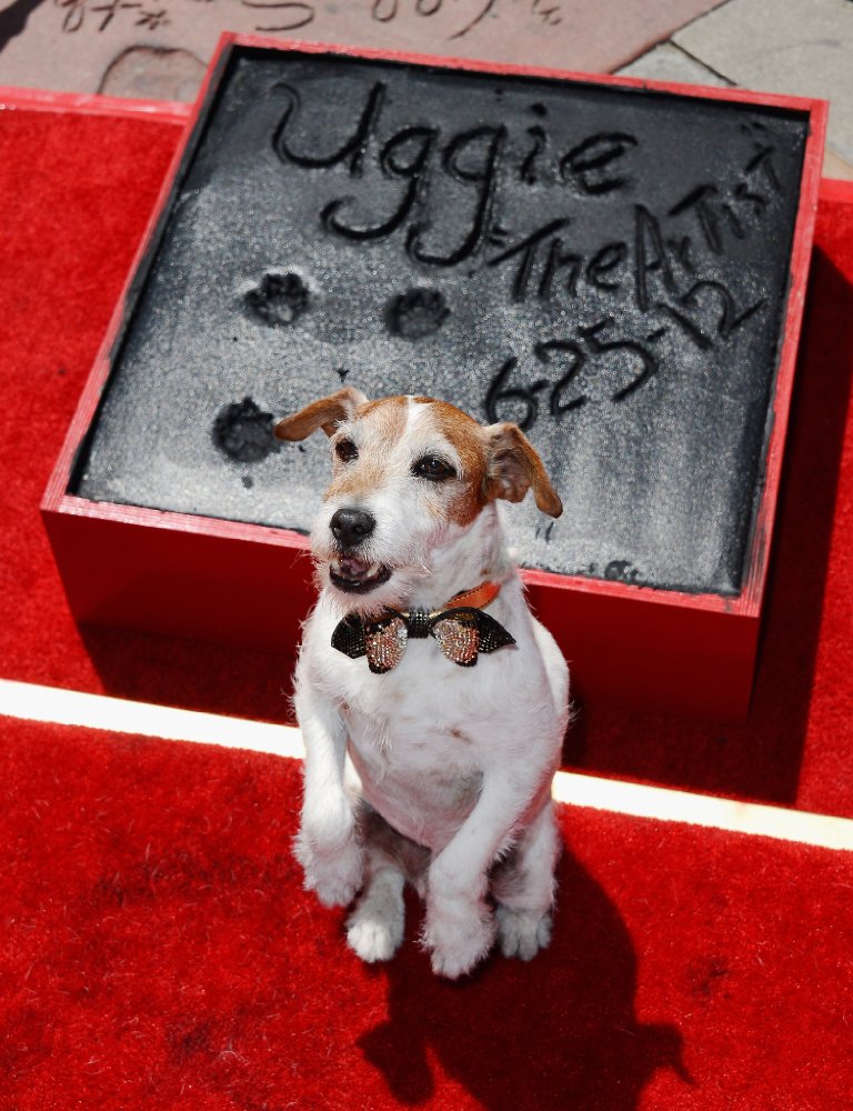 Uggie