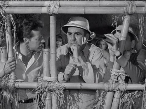 Bob Denver