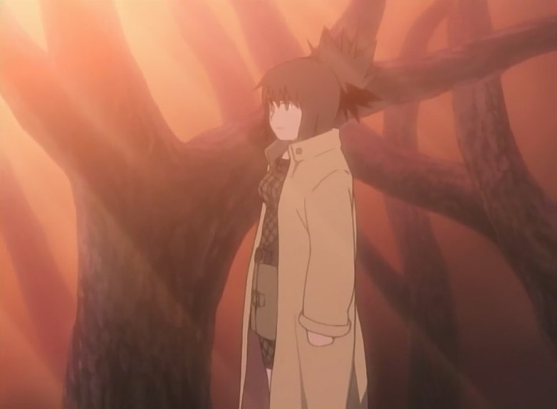Anko Mitarashi