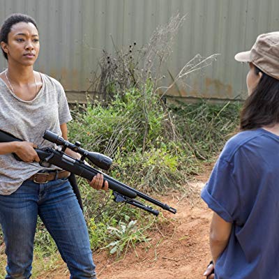 Sasha Williams