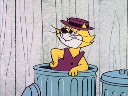 Top Cat