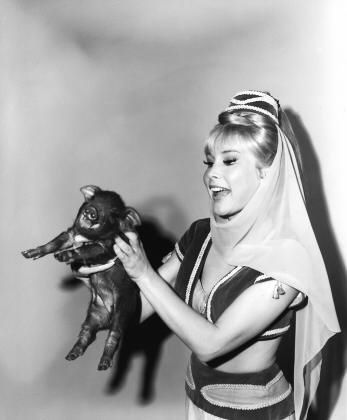 Jeannie