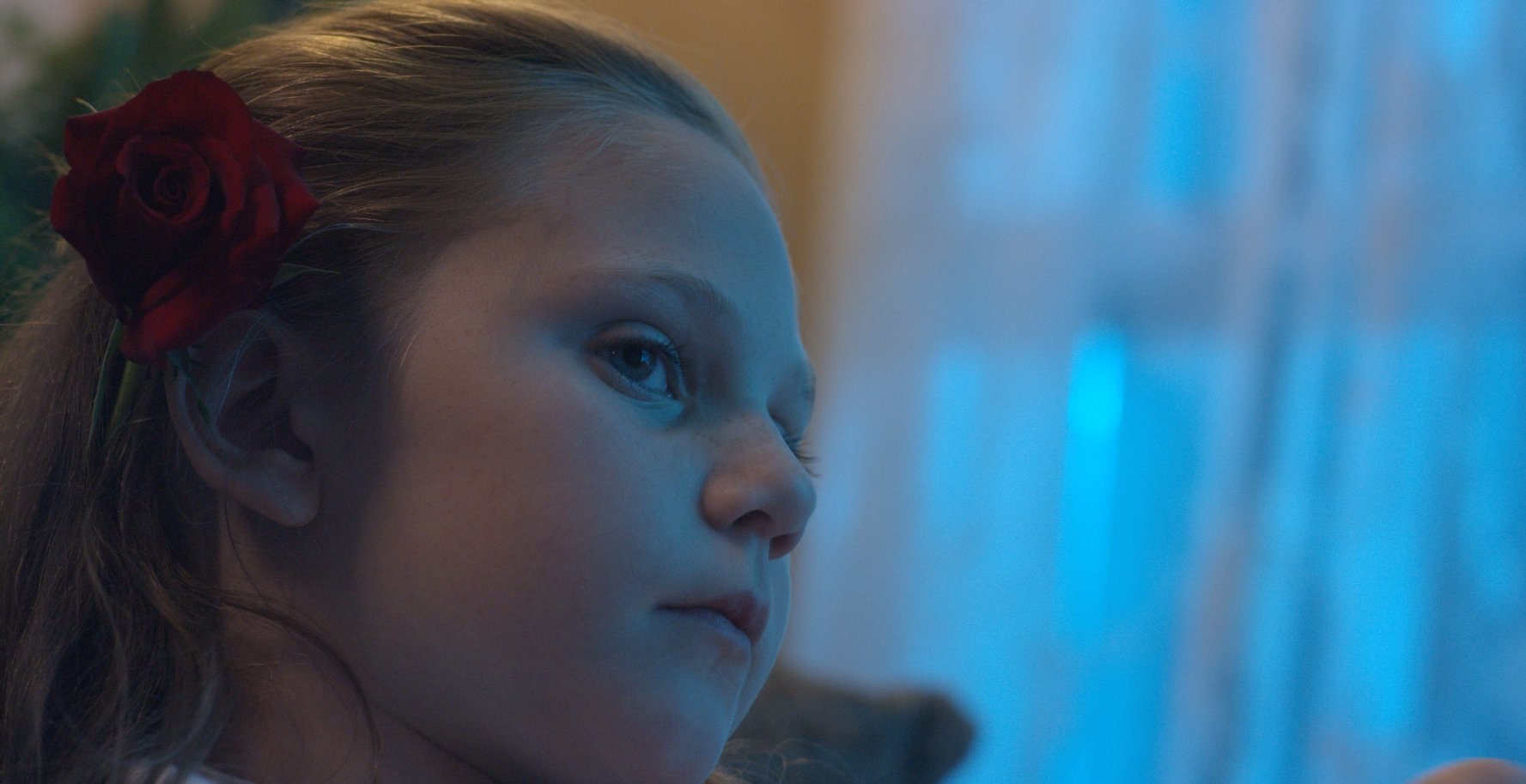 Lily Brooks O'Briant