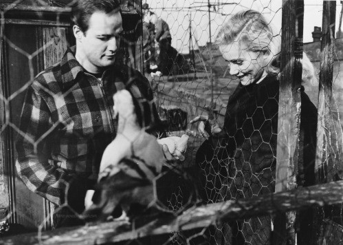 Terry Malloy
