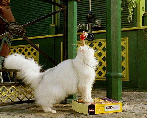 Snowbell