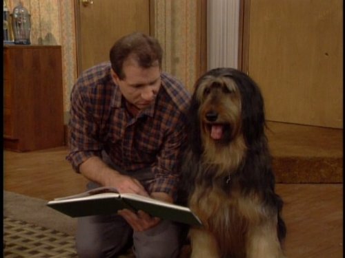 Buck the Dog