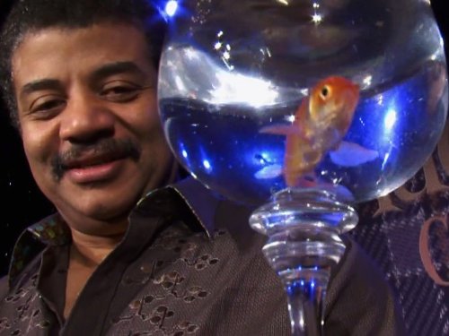 Neil deGrasse Tyson