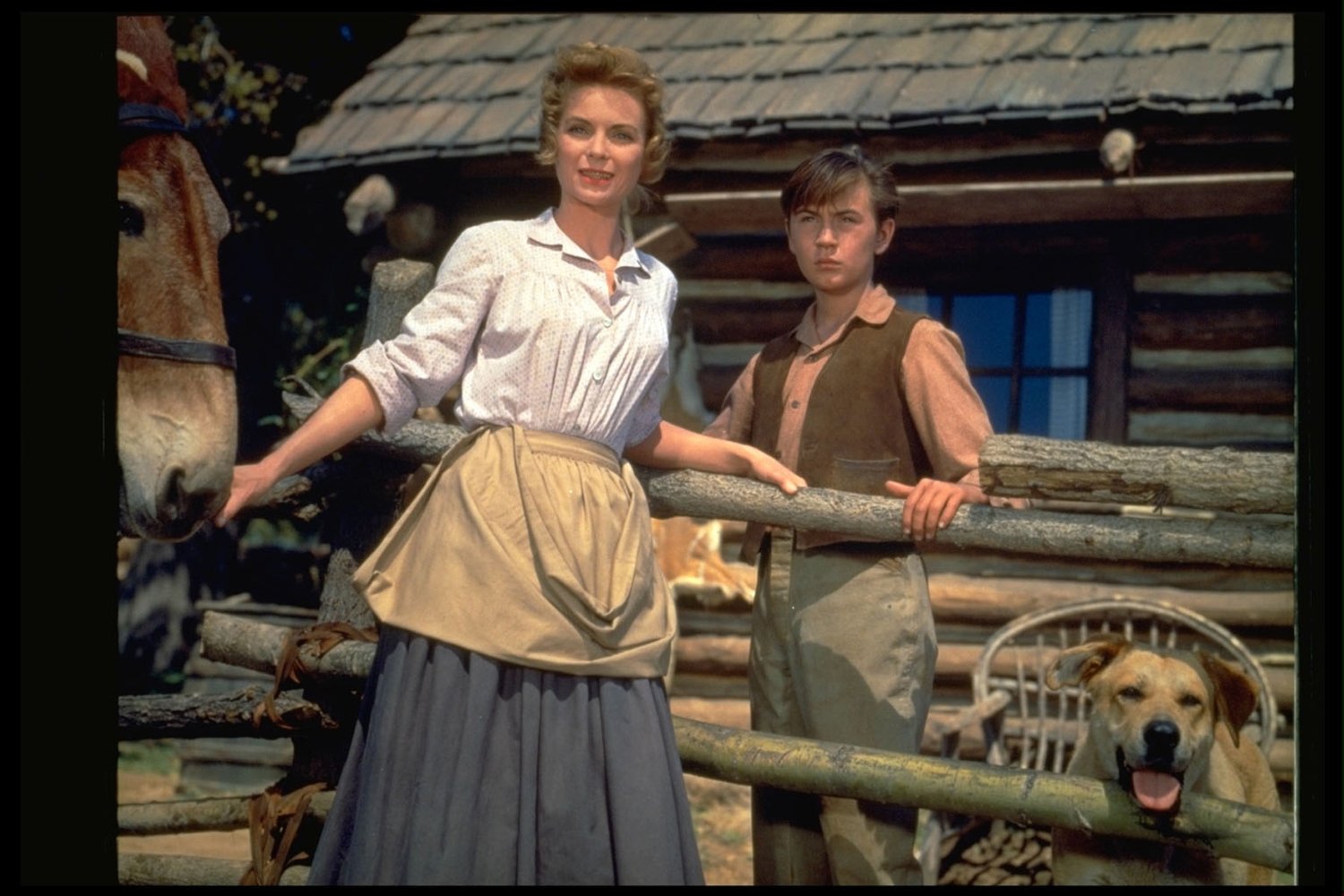 Dorothy McGuire