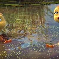 Chi
