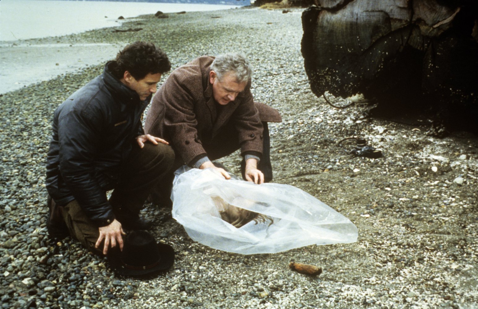 Michael Ontkean