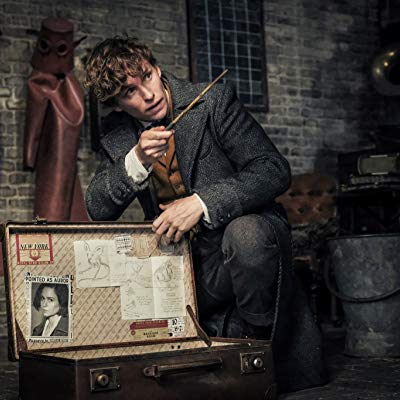 Newt Scamander