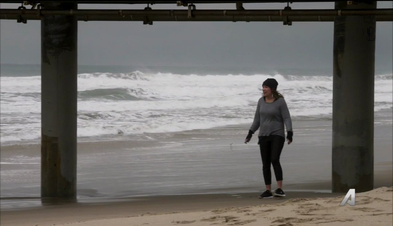 Lisa Prince