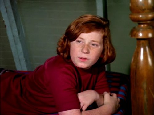 Danny Bonaduce