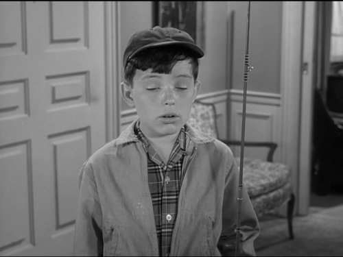 Theodore 'Beaver' Cleaver