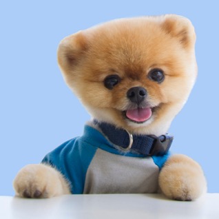 Jiffpom
