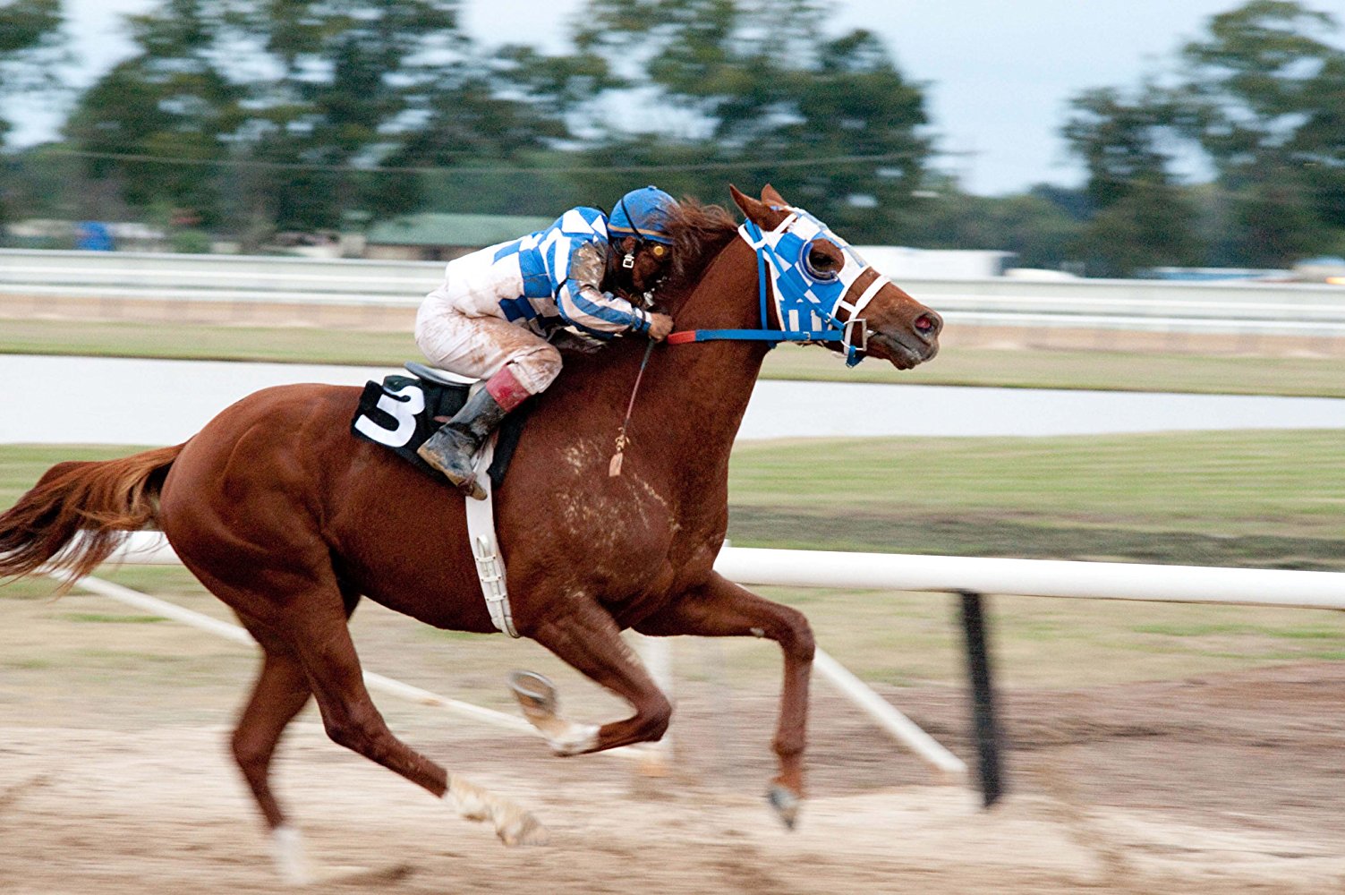 Ronnie Turcotte